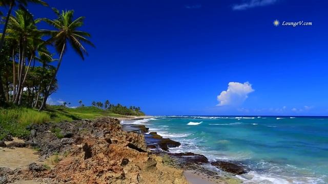 Relaxing Piano Music With Ocean Sounds, HD Video 1080p With Tropical Beaches