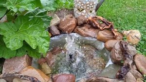 Прудик с фонтаном на участке.Насос фонтанный Зубр.