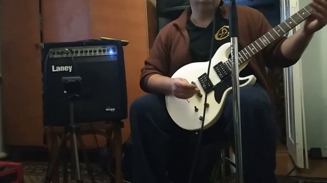 Комбоусилитель Laney AH50, Педаль FAB Metal, Гитары: Epiphone LP SL, Phil Pro MS13, Schacter SGR S-