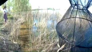 Караси больше килограмма. Хитрый метод ловли. Рыбалка весной на карася