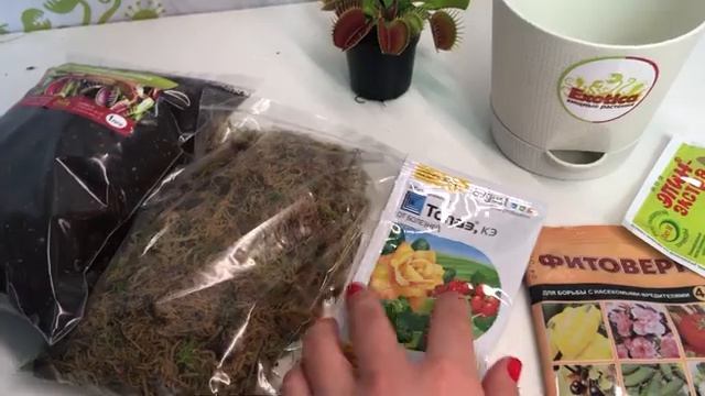 Хищные растения купить - Комбо набор №2 - Магазин Exotica смотреть онлайн