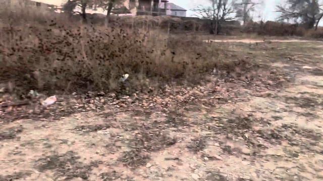 Небольшой влог прогулка по берегу Волги смотреть онлайн