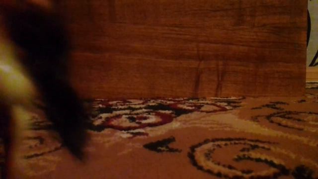 Иногда были неудачные кадры из впоследствии отмантировали но это видео не монтираволи выйдет 3 част смотреть онлайн