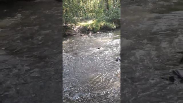 Парк долина реки Сетунь смотреть онлайн