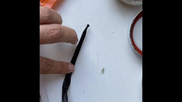 Never Need To Buy Vanilla Extract Again смотреть онлайн