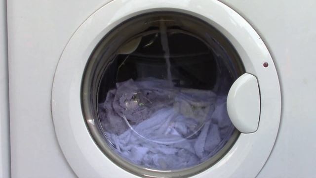 Zanker Lavita LF6650 -  E-programme (1600 RPM)