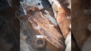 Влага под ковролином ниссан х-трейл т30