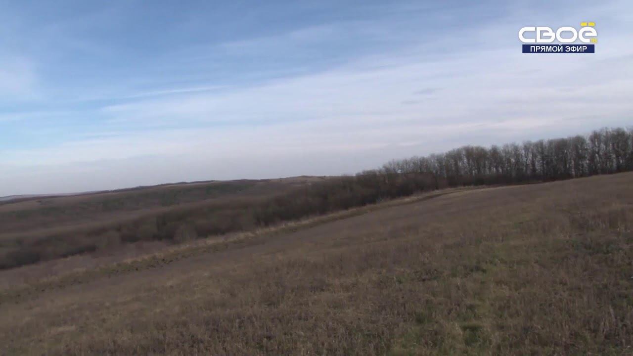 Новости на Своём от 06 декабря 2023г. 13:00