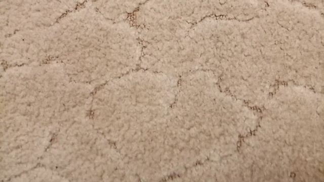 Что можно подарить на Новый год басику и лили ?✌️❤️??❄️ Диана плюс смотреть онлайн