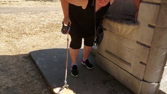 Жара в Англии ! Воскресенье 24 Июля - Что с Весом ? смотреть онлайн