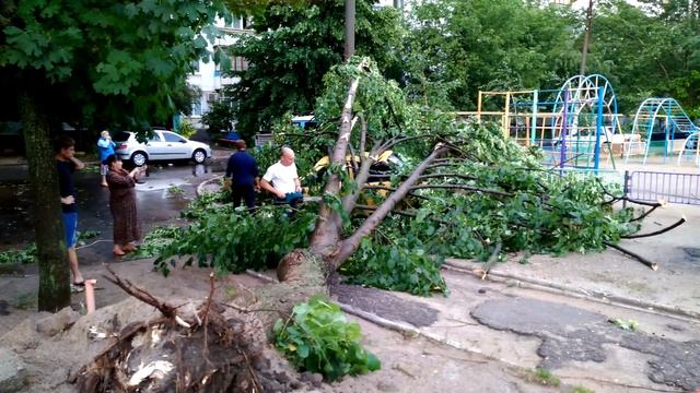 упало дерево на желт таврию VID 20170613 202516 смотреть онлайн