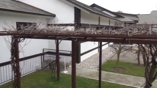 "Король Ум" смотреть онлайн