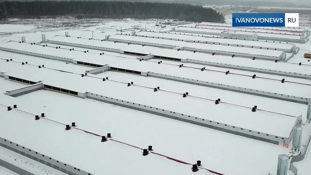 Свинокомплекс в Петровском видео с квадрокоптера смотреть онлайн