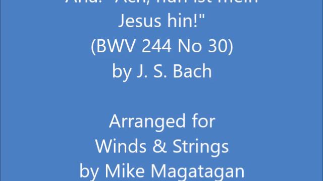 Aria: "Ach, nun ist mein Jesus hin!" (BWV 244 No. 30) for Winds & Strings смотреть онлайн