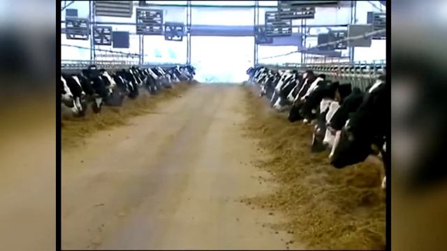 Промо ролик для научно-производственной компании "ЭКОМАШОРГАНИК" смотреть онлайн