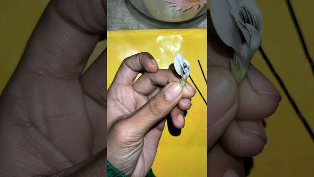 Flower Structure Of Pea, Fully Explained |keel |self Pollination