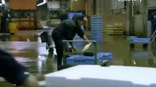 Деликатес Фугу из ,самой опасной рыбы в мире смотреть онлайн