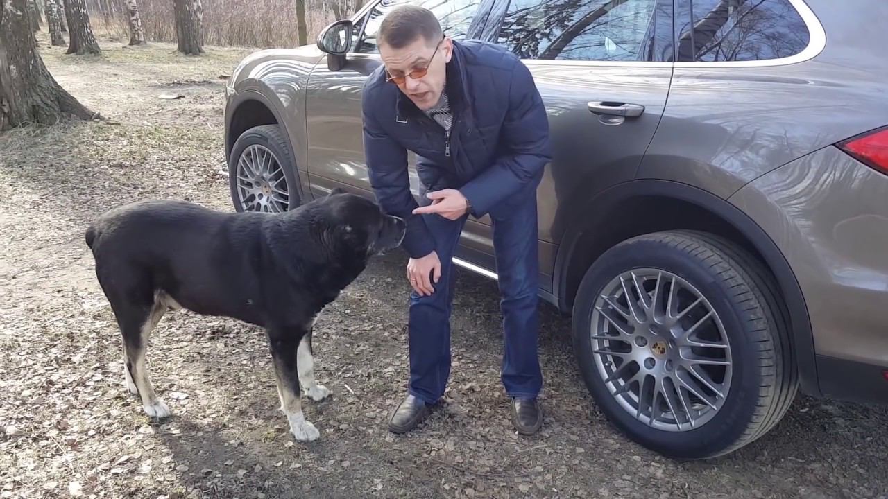 Порше Каен 958 Проблемы и стоимость обслуживания смотреть онлайн