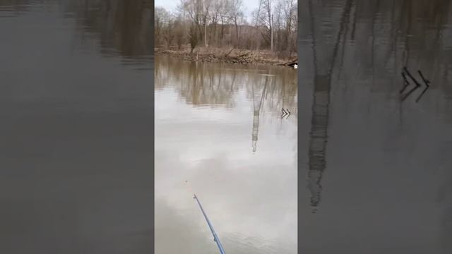 Рыбалка на пруду в апреле!!!!! смотреть онлайн