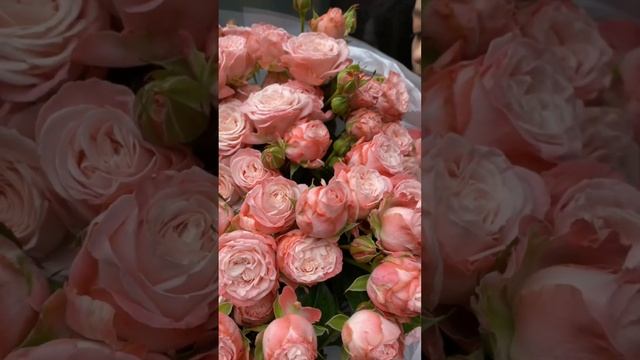 Авторский монобукет из кустовых пионовидных роз Miss Bombastic - Обзор смотреть онлайн