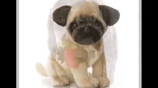 детские замки игрушки для девочек смотреть онлайн