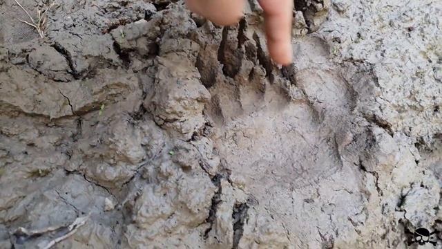 Коп в горах, сабля Черкесов лежала в корнях смотреть онлайн