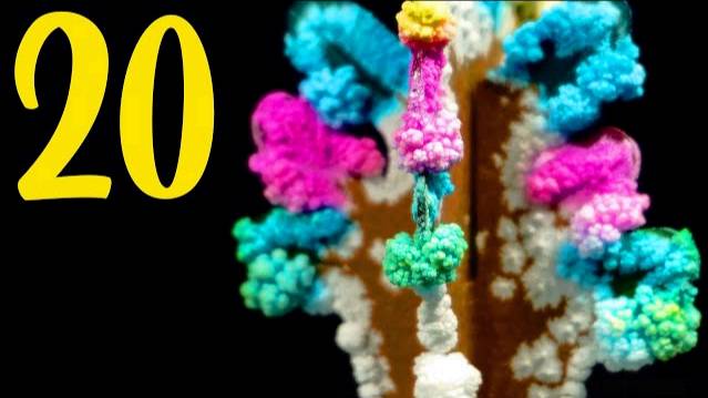 20 AMAZING SCIENCE EXPERIMENTS! Compilation