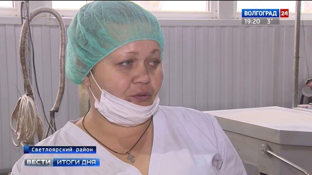 Светлоярская пекарня развивает производство смотреть онлайн