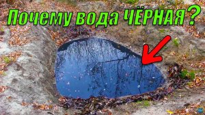 Пруд в октябре! Что случилось с прудом?
