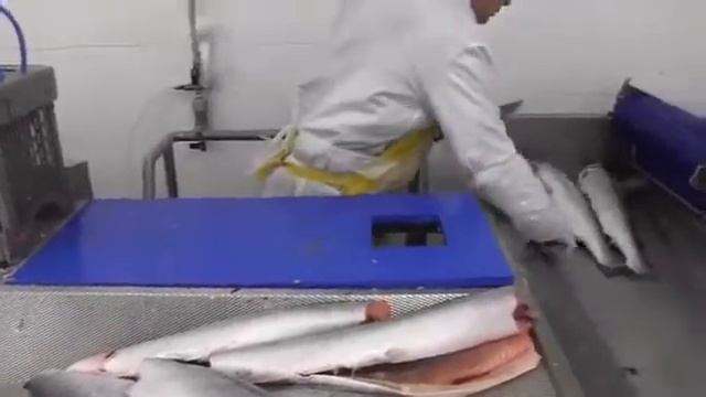 СТОЛ ДЛЯ ОТРЕЗАНИЯ ГОЛОВ.mp4 смотреть онлайн
