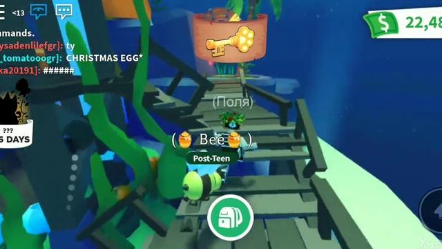 Где ключ? Роблокс адопт ми смотреть онлайн