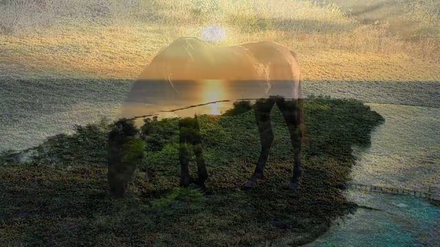 ГАРМОНИЯ ЛОШАДЕЙ И ПРИРОДЫ/ ЛУЧШАЯ МУЗЫКА ДЛЯ ОТДЫХА И ВОССТАНОВЛЕНИЯ СИЛ/ ЛИШЬ ВЧЕРА смотреть онлайн