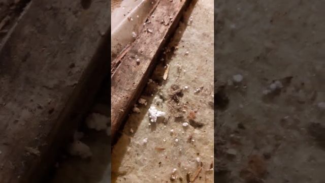 Влага в утеплителе потолка. смотреть онлайн
