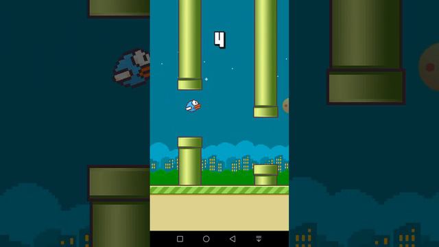 Дети! Учите виды птиц! смотреть онлайн