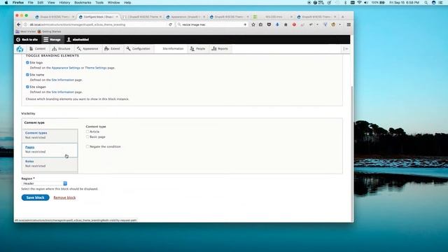 W3CSS Theme - How to enable the website's slogan. смотреть онлайн