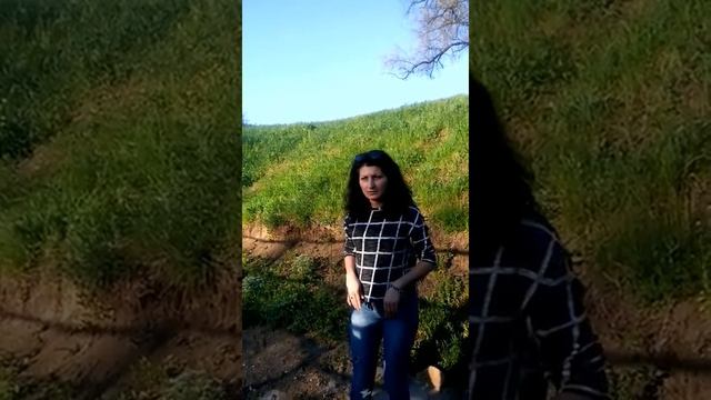 Изображение жирафы смотреть онлайн