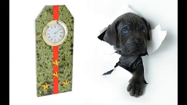 23 ФЕВРАЛЯ смотреть онлайн