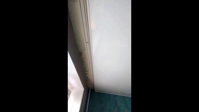 Компания "Капитан Потолок" г. Камышин смотреть онлайн