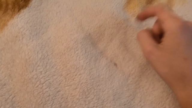 ЧТО ДЕЛАТЬ, ЕСЛИ К ТЕБЕ ПРИСТАЕТ ТРУДОВИК смотреть онлайн