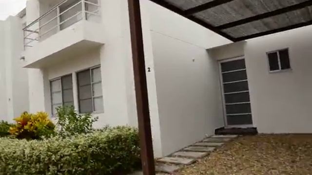 DSC5241 смотреть онлайн