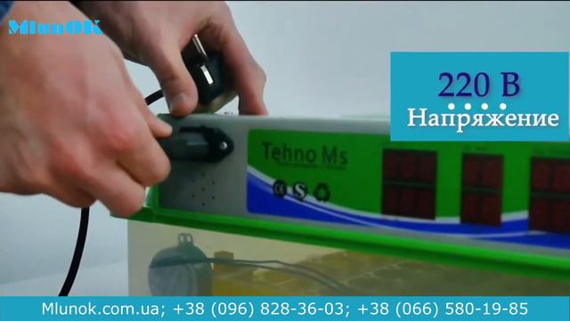 Инкубатор автоматический MS 63-252 и MS 98 для кур, перепелов смотреть онлайн