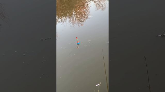 #рыбалка #fishing смотреть онлайн