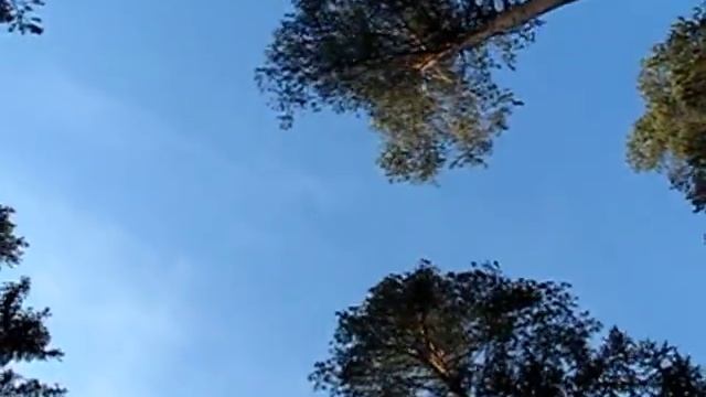 уаз4х4 off-road & Детские покатушки смотреть онлайн