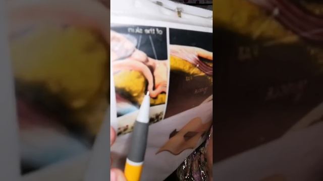 След от залома морщин смотреть онлайн