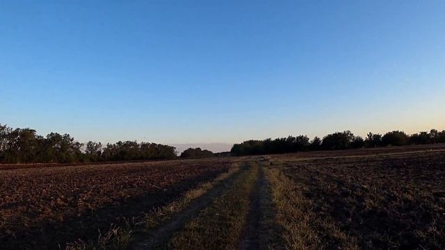 Теперь она у Тейки есть! смотреть онлайн