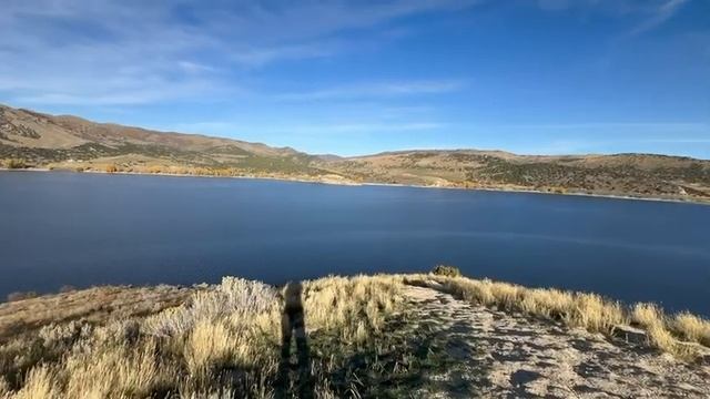 Unlock the Power of iPhone 15 Pro Max Camera in Nature's Realm