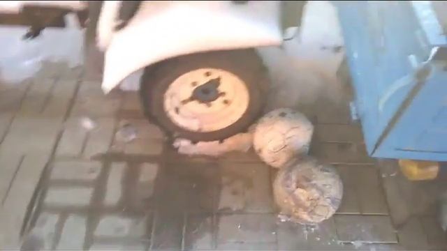 Завёл муравей в -25 экшн смотреть онлайн