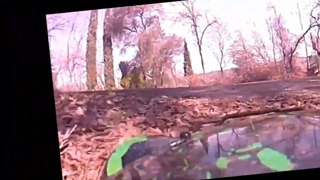 Low-Latency Software Video Stabilization with OpenCV, WFB-NG, RPi, Ubuntu. Dog. смотреть онлайн