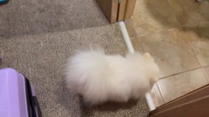 Усть Качка 1 день. Номер 283. Русь. Столовая. И прогулка вечером.